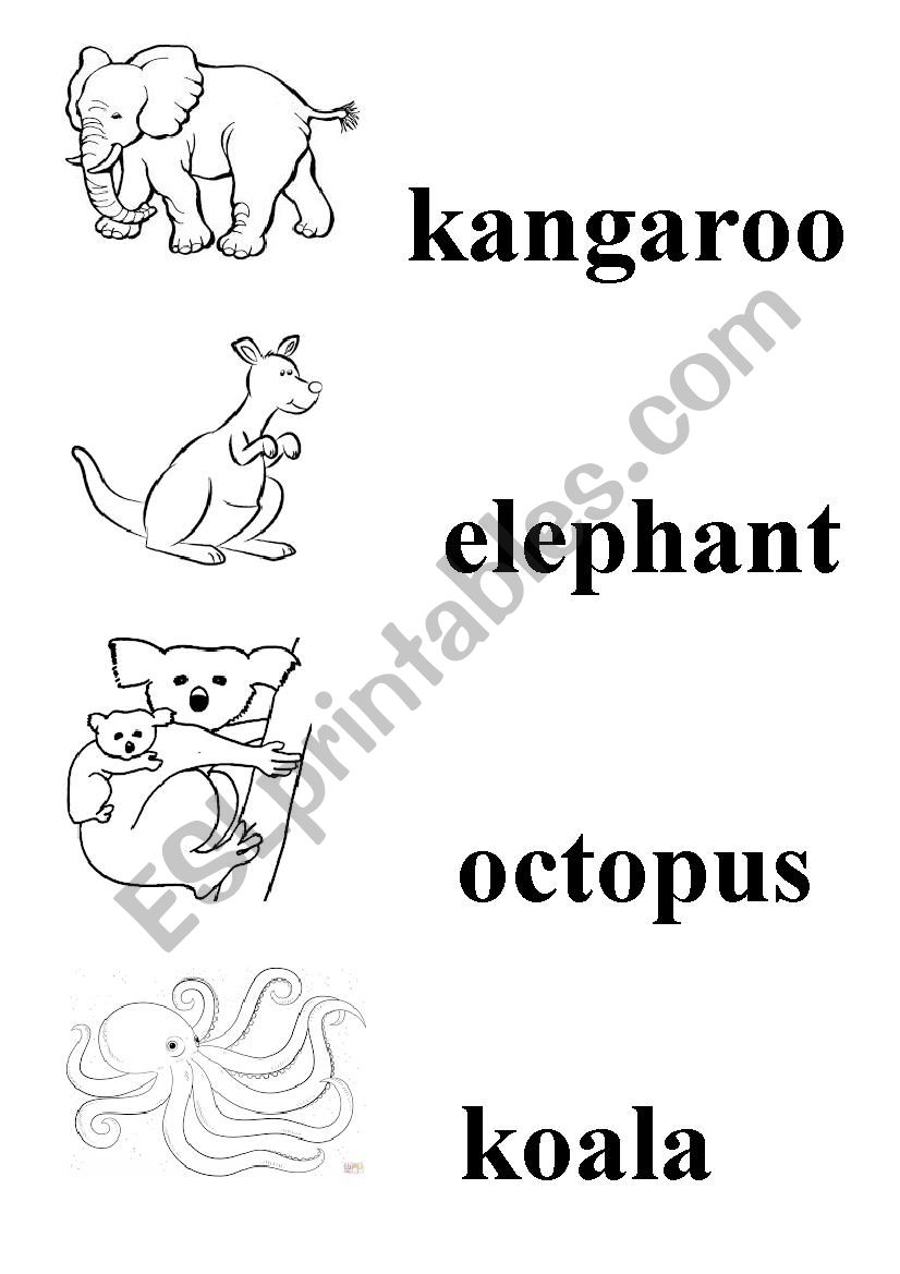 Zoo animals worksheet