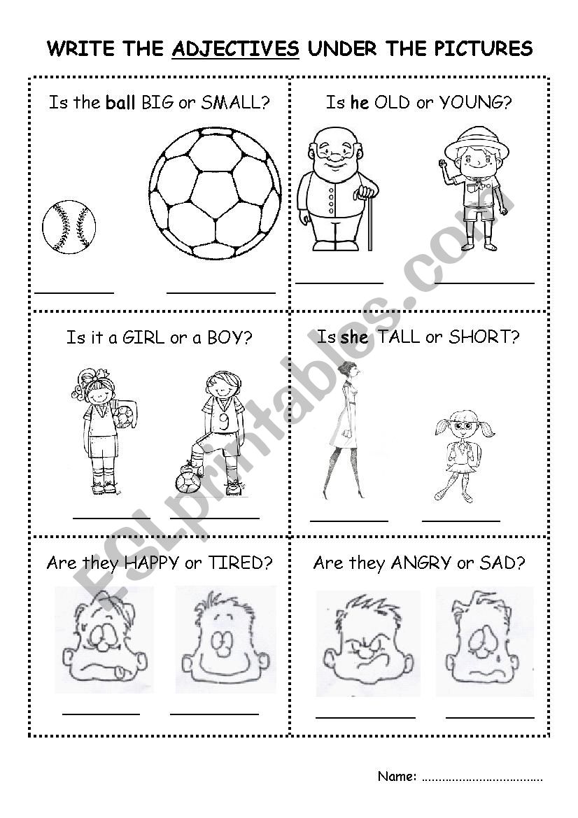 Choose the adjectives worksheet