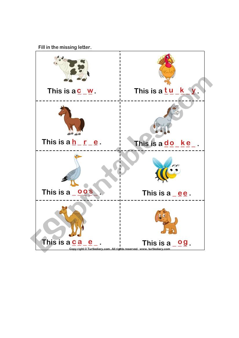 animals worksheet