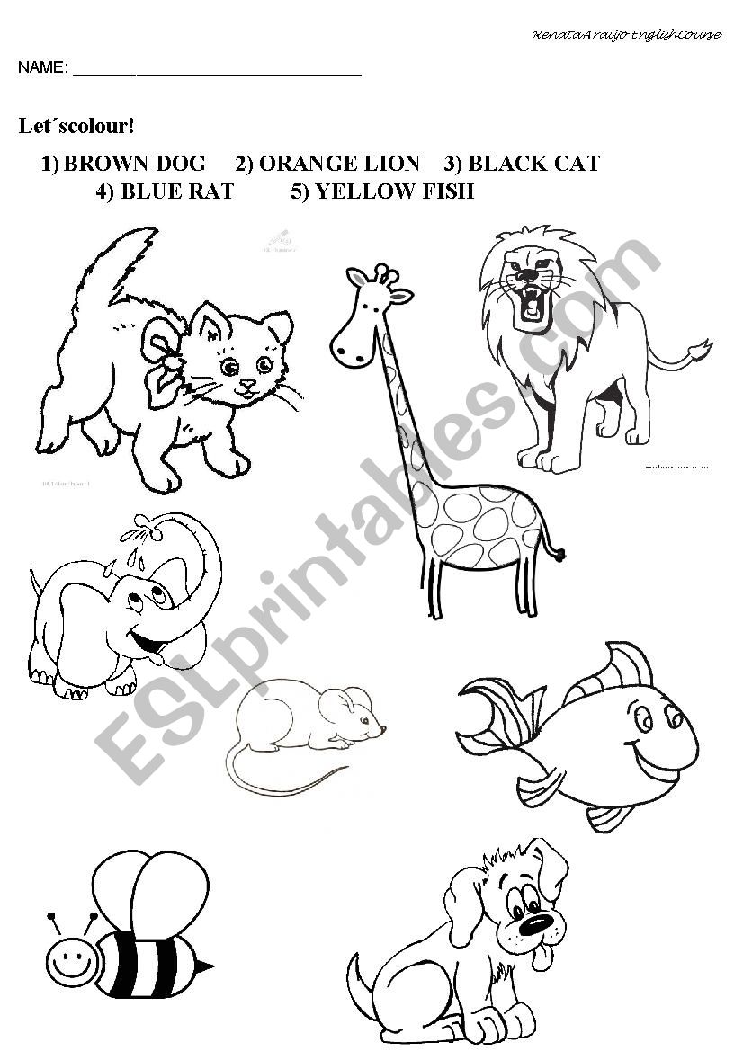 Colour the animals! worksheet