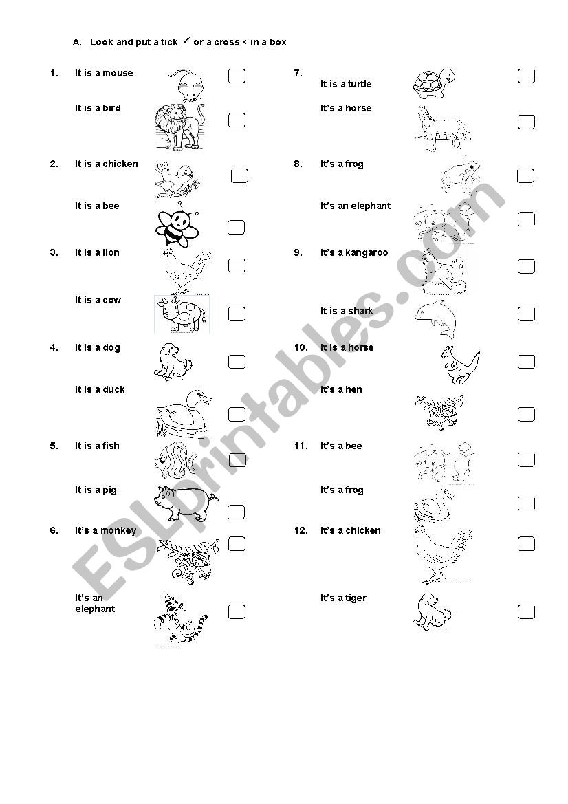 animals worksheet