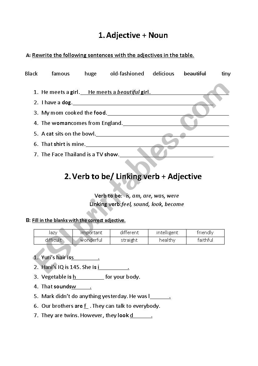 Position Of Adjectives Worksheet