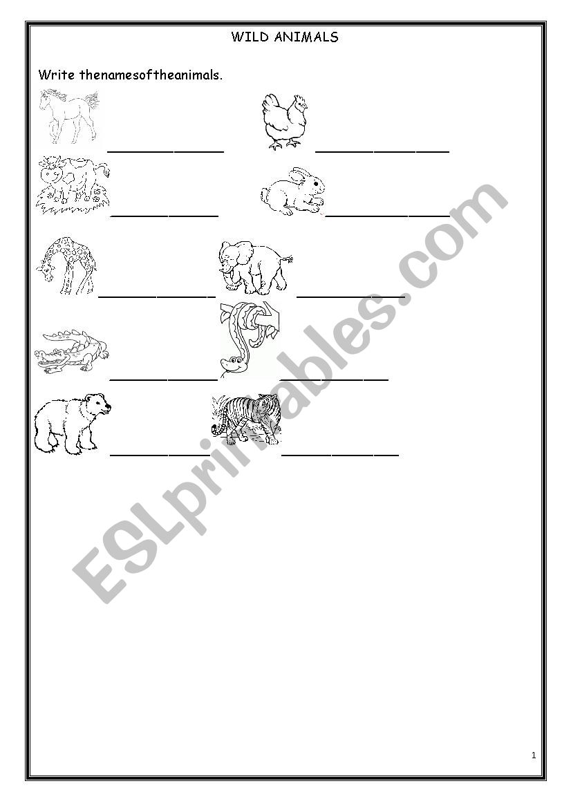 WILD ANIMALS worksheet