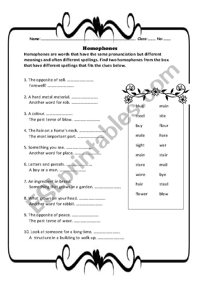 Homophones worksheet