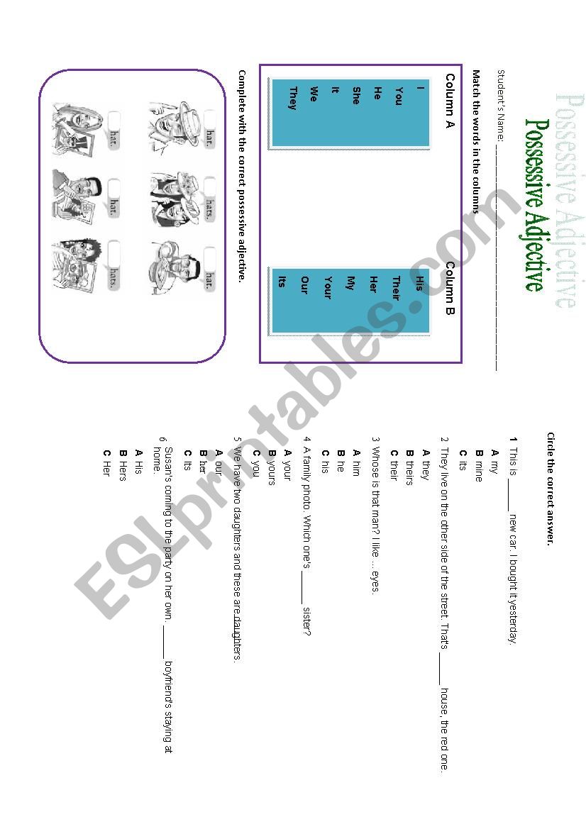 possessive adjective. worksheet