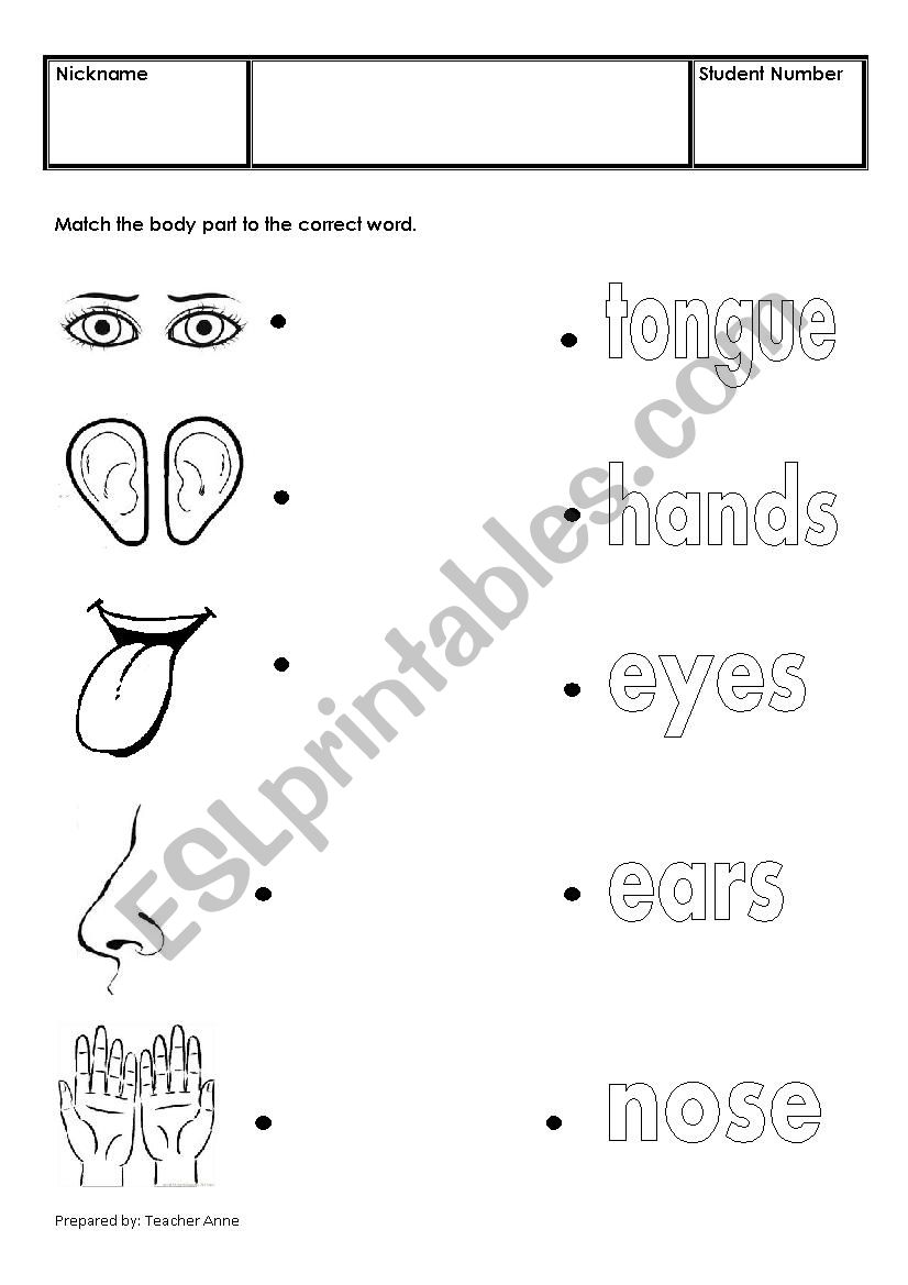 five senses worksheet