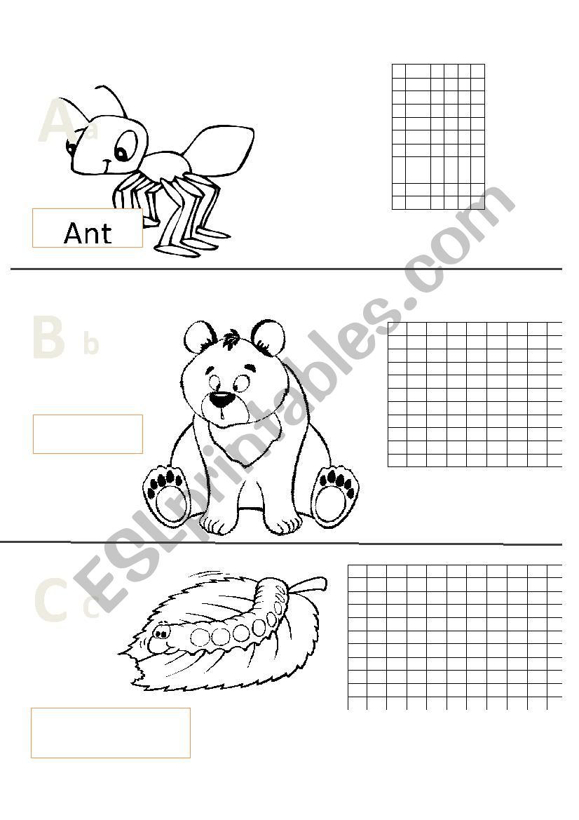 the alphabet  worksheet