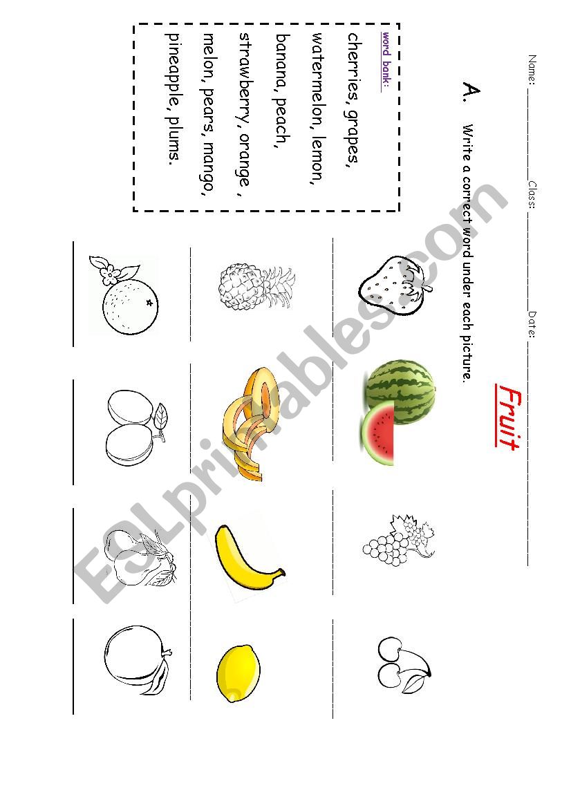 Fruit worksheet