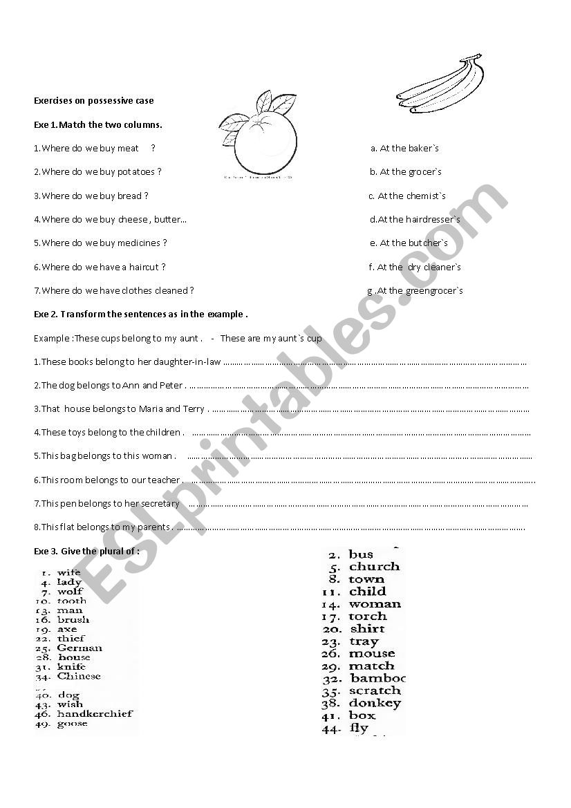 Possessive case worksheet