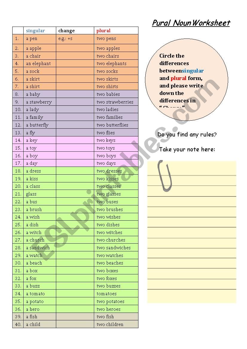 Singular and Plural Noun worksheet