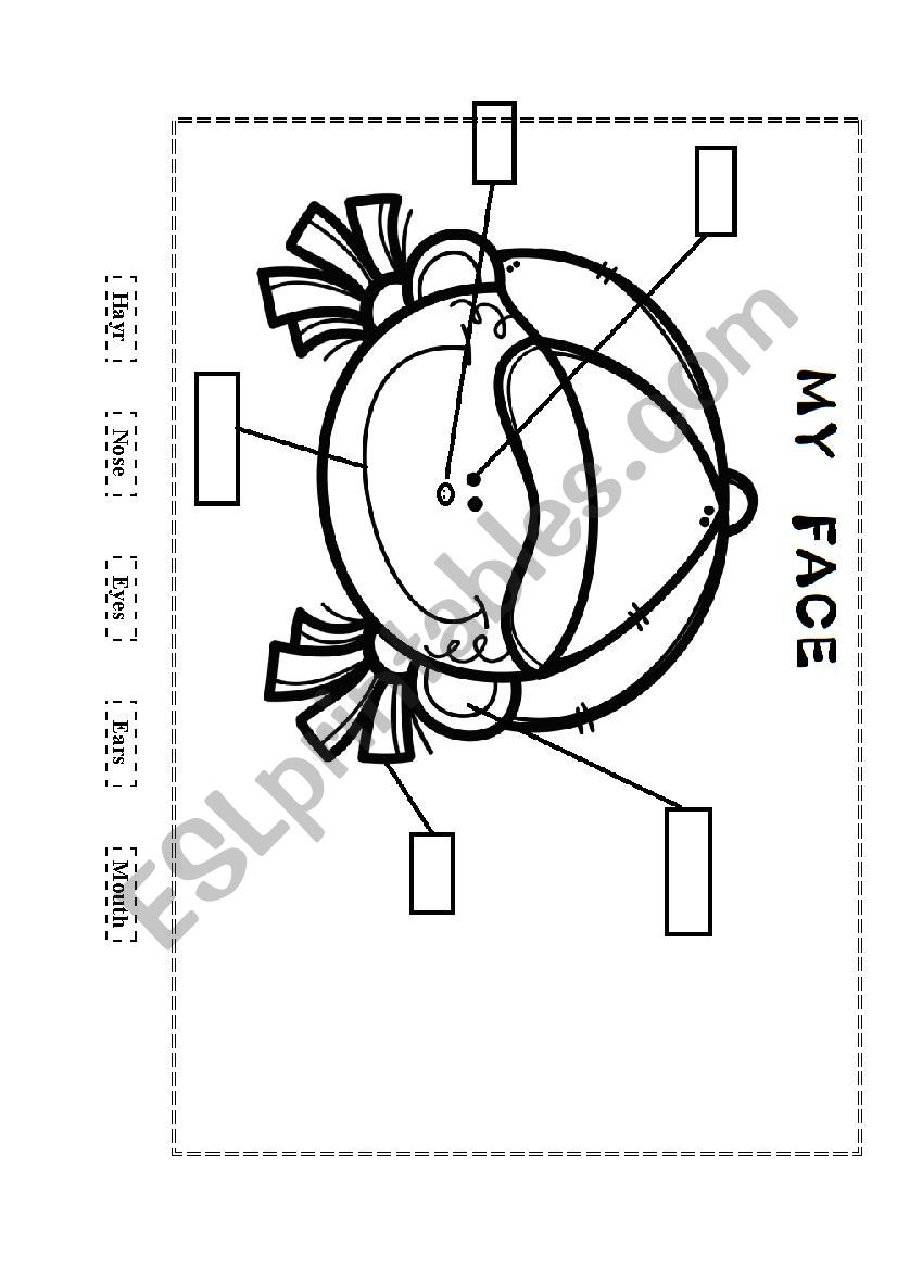 my face worksheet