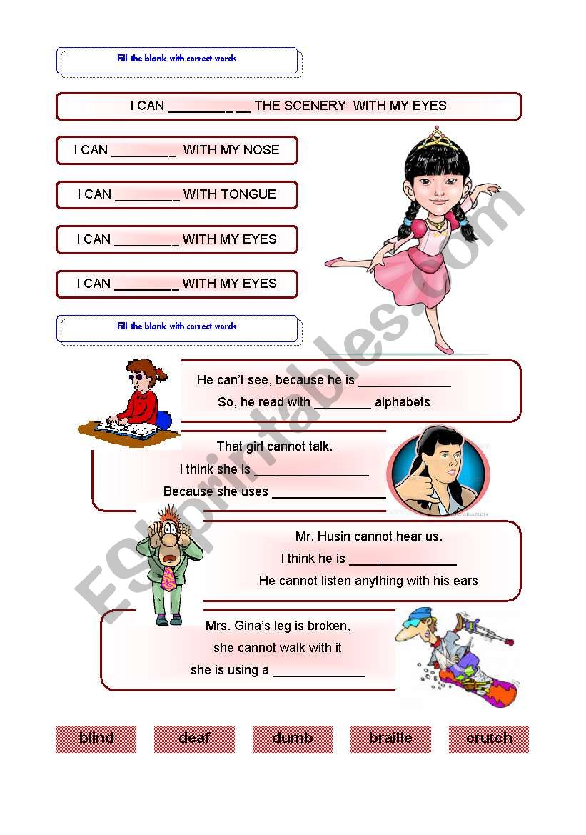 the five senses worksheet