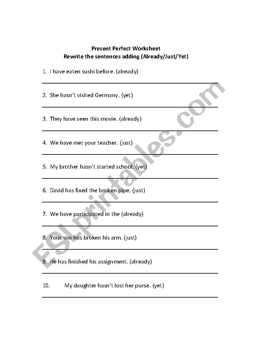 present perfect worksheet worksheet