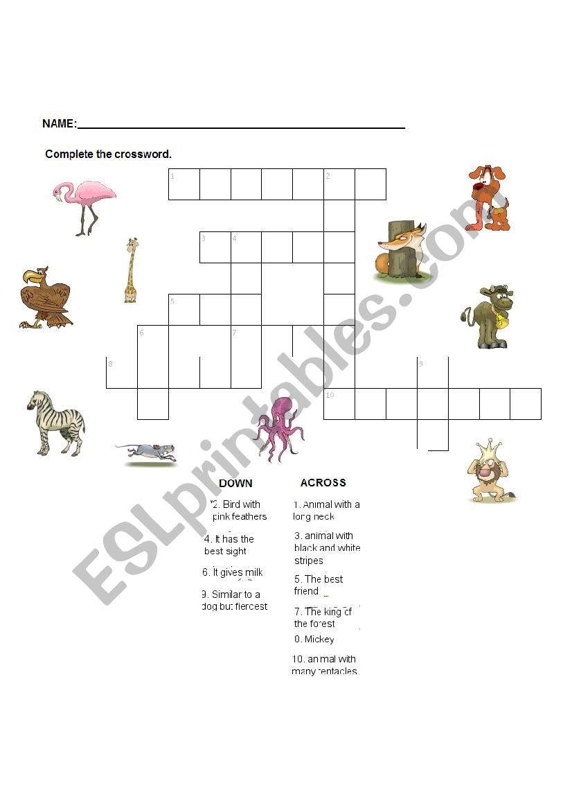 Animals worksheet