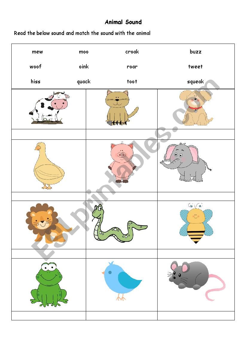 Animal Sound Worksheet worksheet