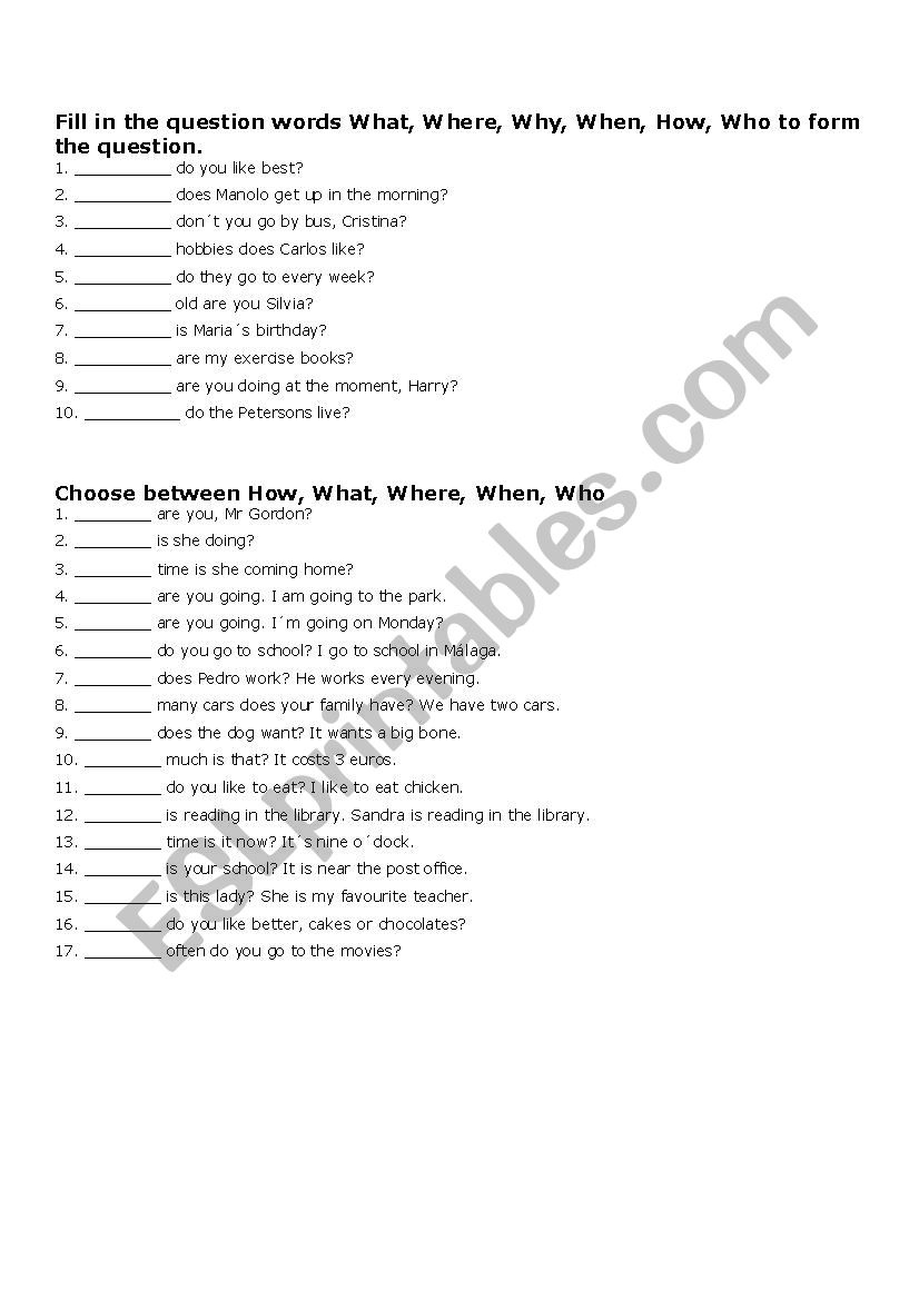 WH and How Questions worksheet