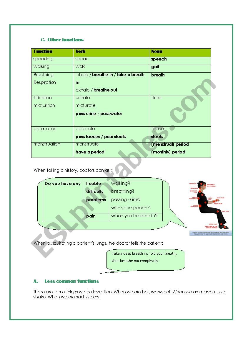 Medical English part 4 worksheet