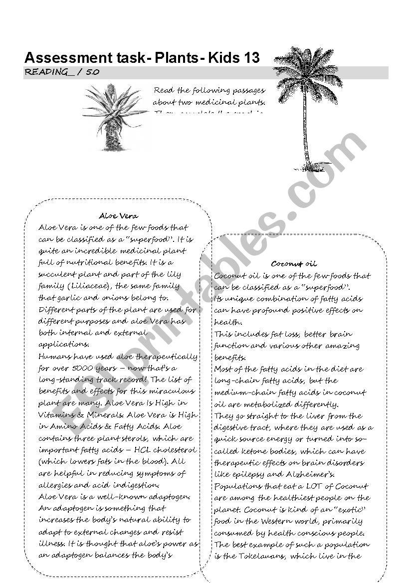 Plants Compare and contrast  worksheet