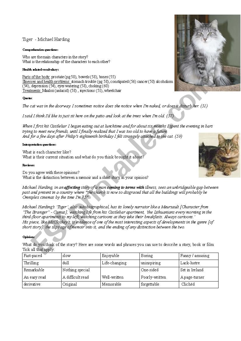 Tiger by Michael Harding worksheet