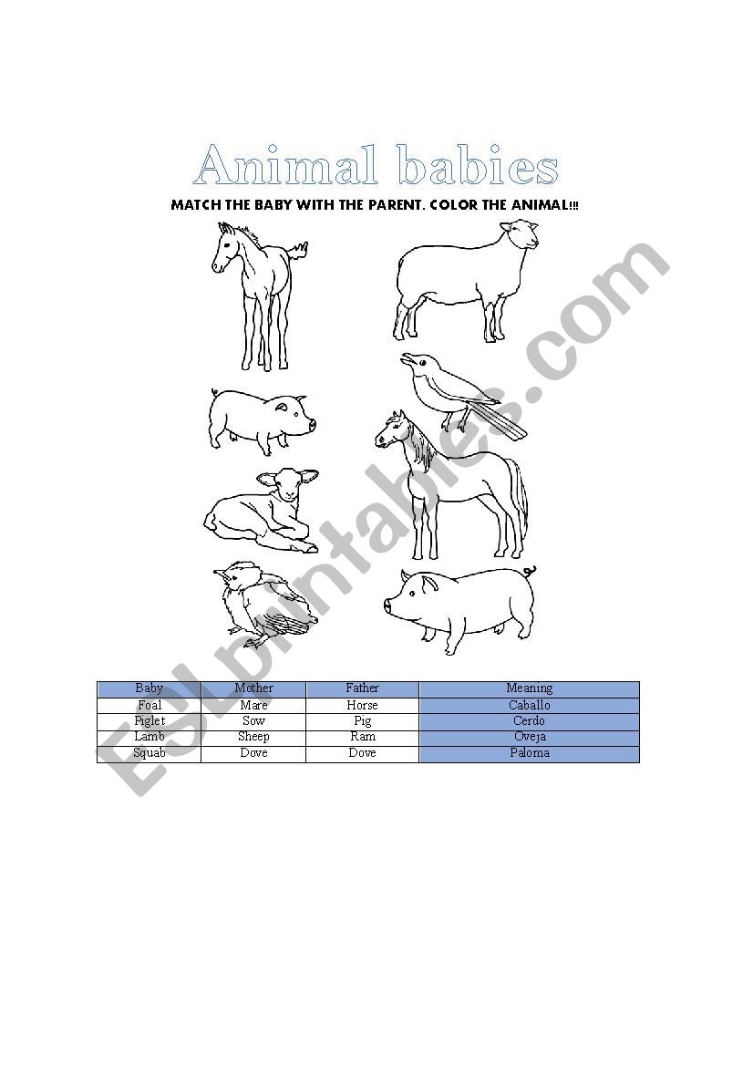 Animal babies worksheet