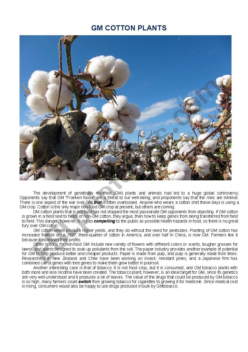 Reading comprehension GM cotton Plant 