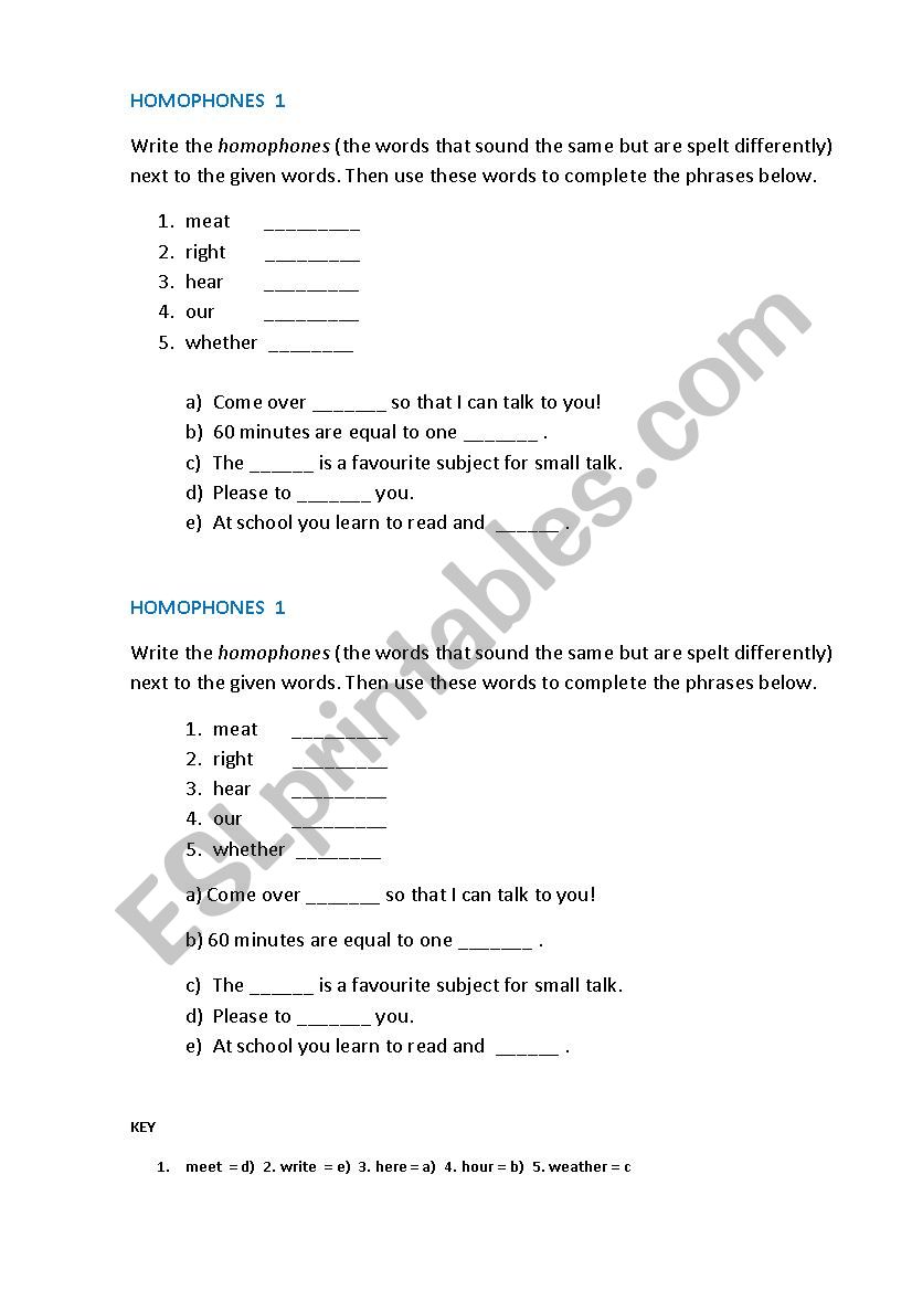 HOMOPHONES 1  worksheet