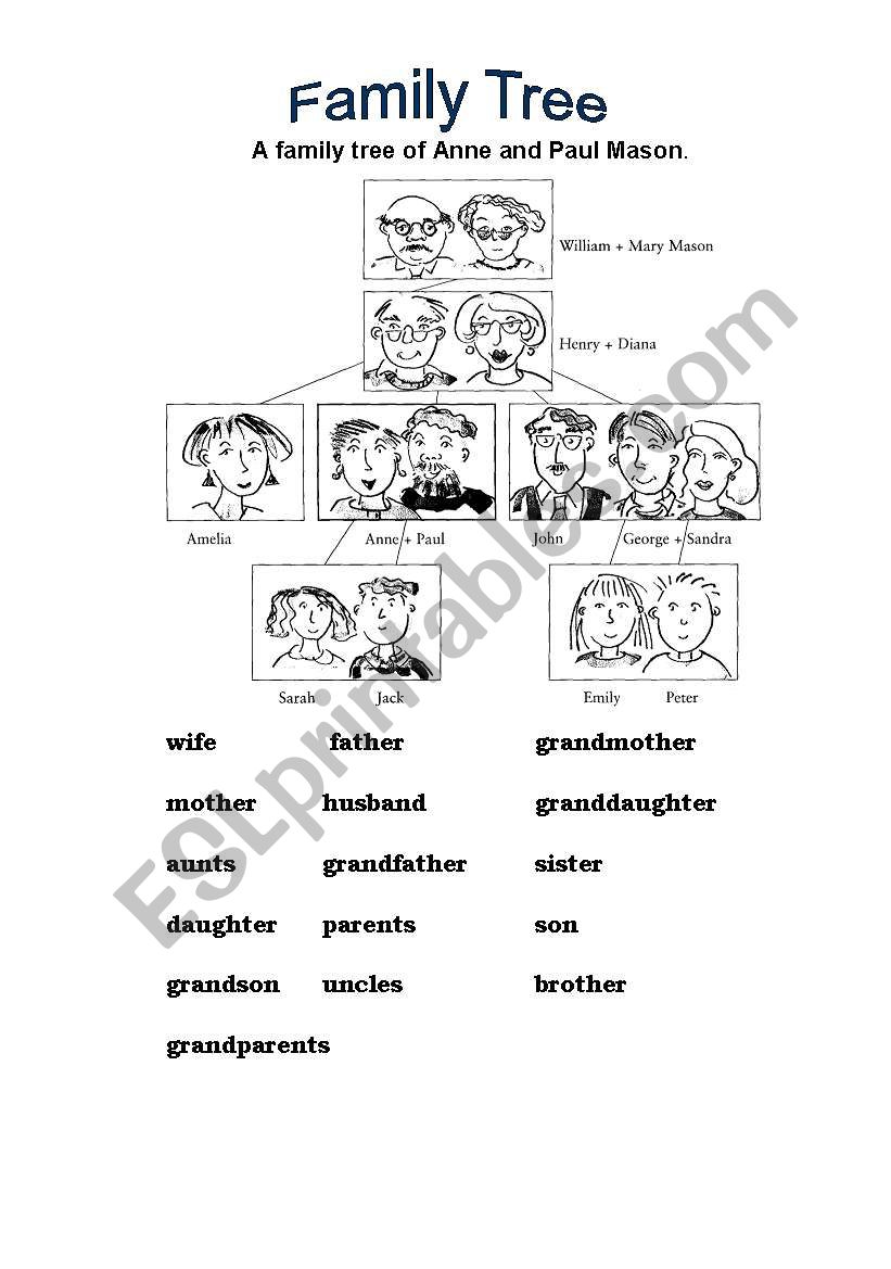 family vocabulary introduction and practice