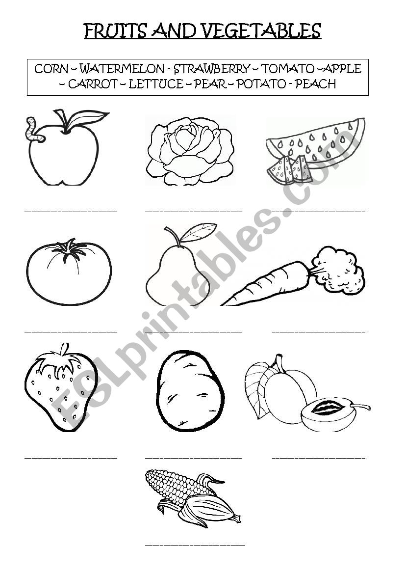 fruits and vegetables worksheet