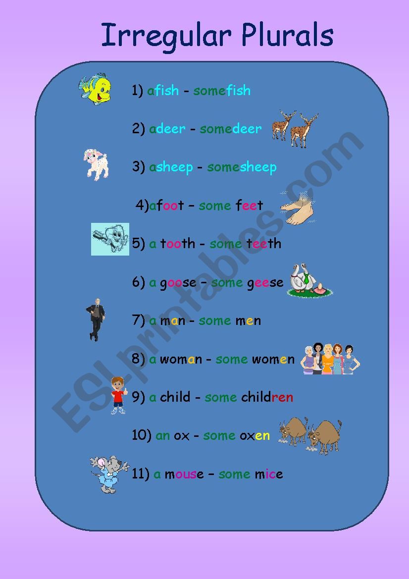 Irregular Plurals worksheet