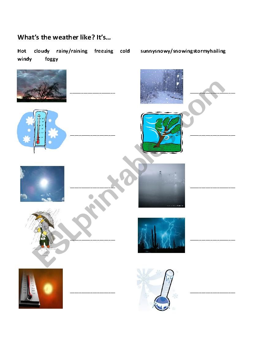 Whats the weather like? worksheet