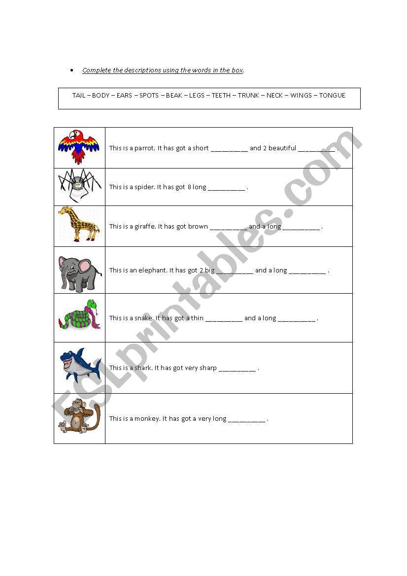 animal body parts esl worksheet by ari 13