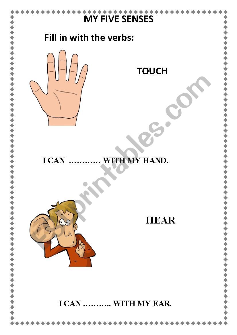 My five senses worksheet