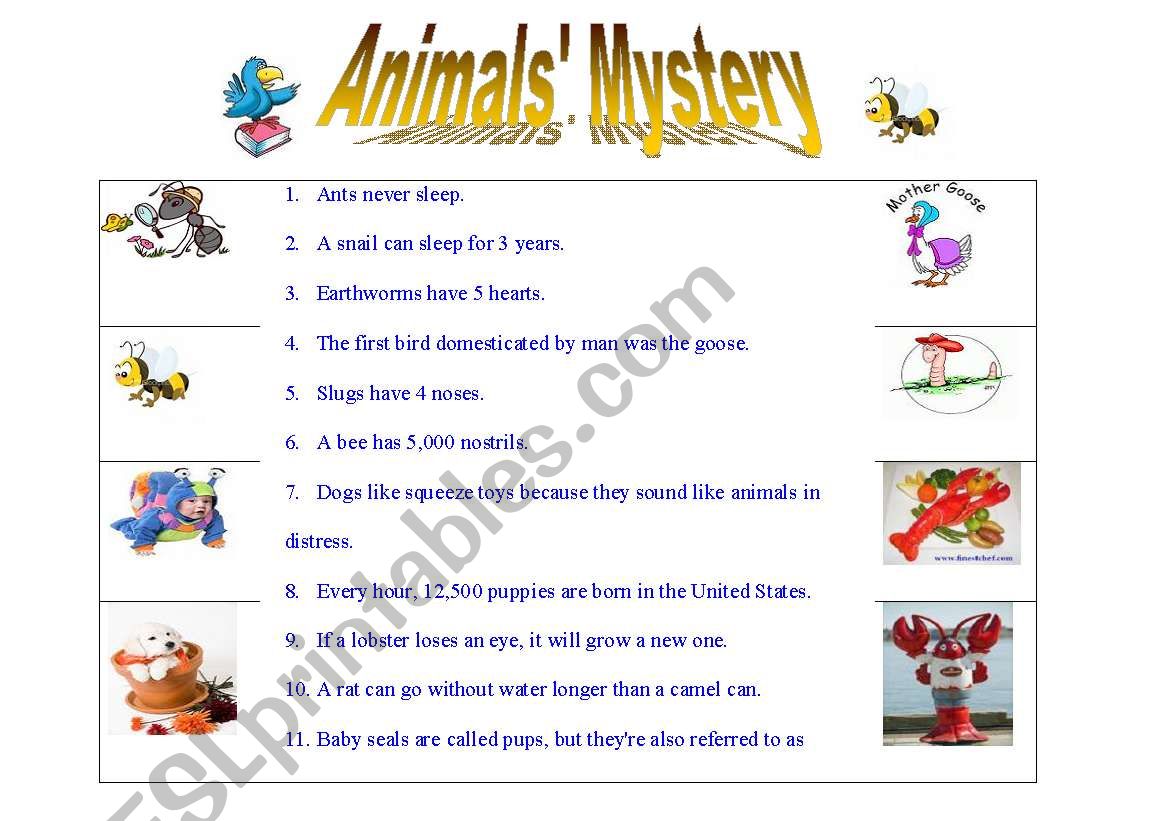 Animals Mystery worksheet