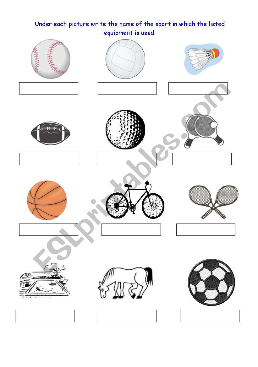 sport vovabulary worksheet