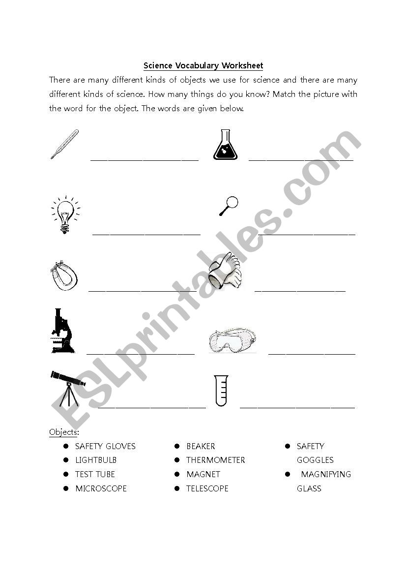Science Vocabulary Worksheet worksheet