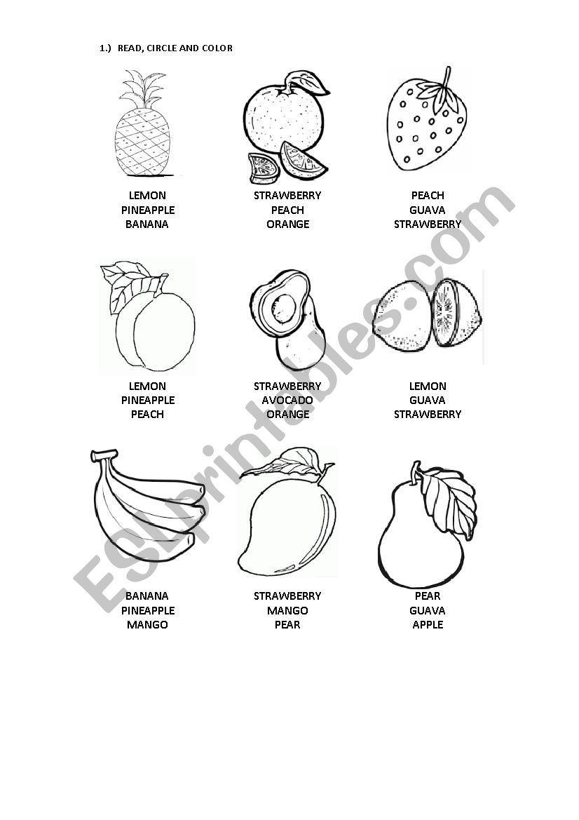 food and fruits worksheet