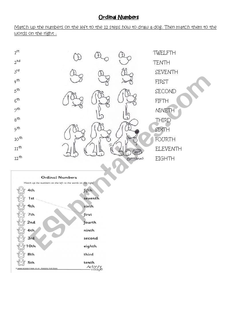 ORDINAL NUMBER worksheet