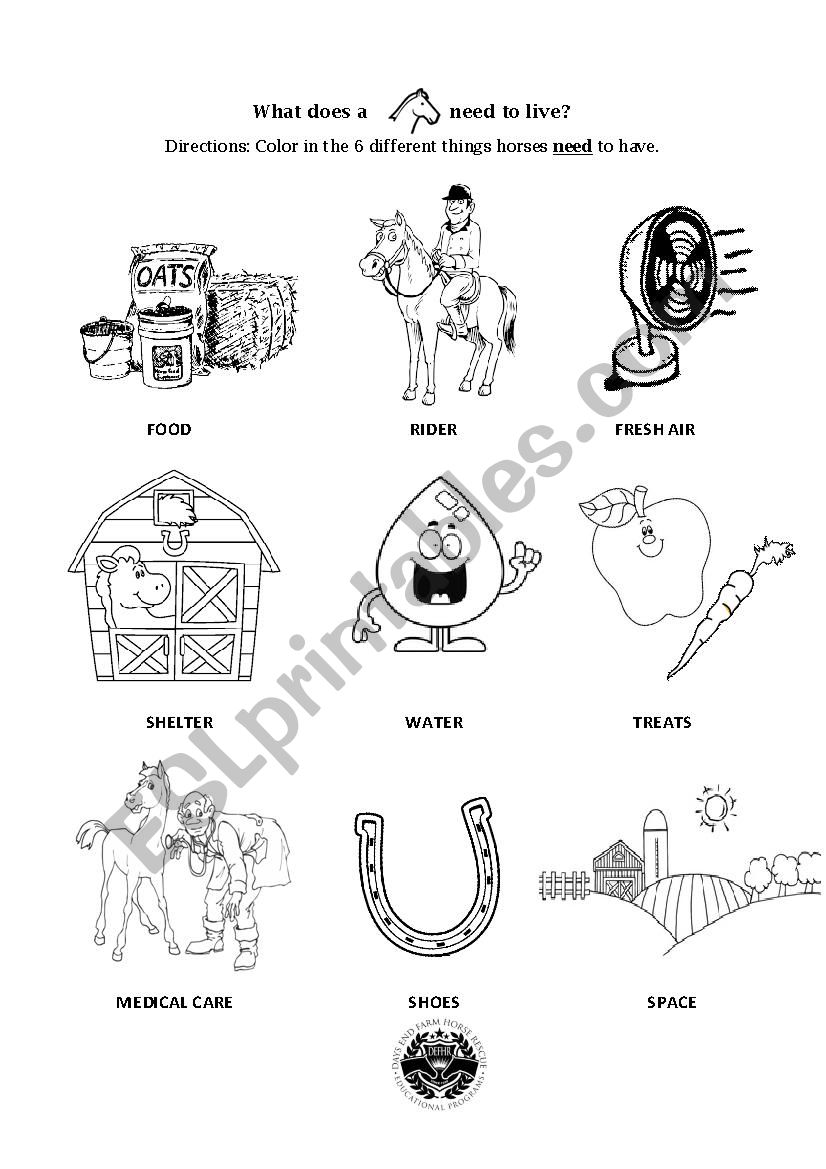 What a horse needs to live coloring page