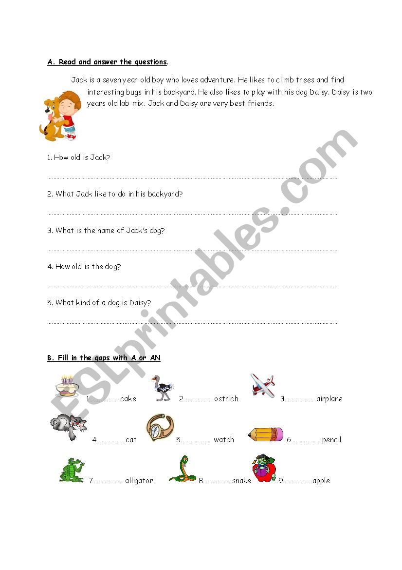 a-an worksheet