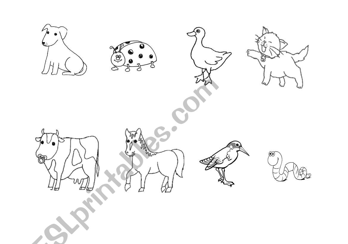 Farm Animals worksheet