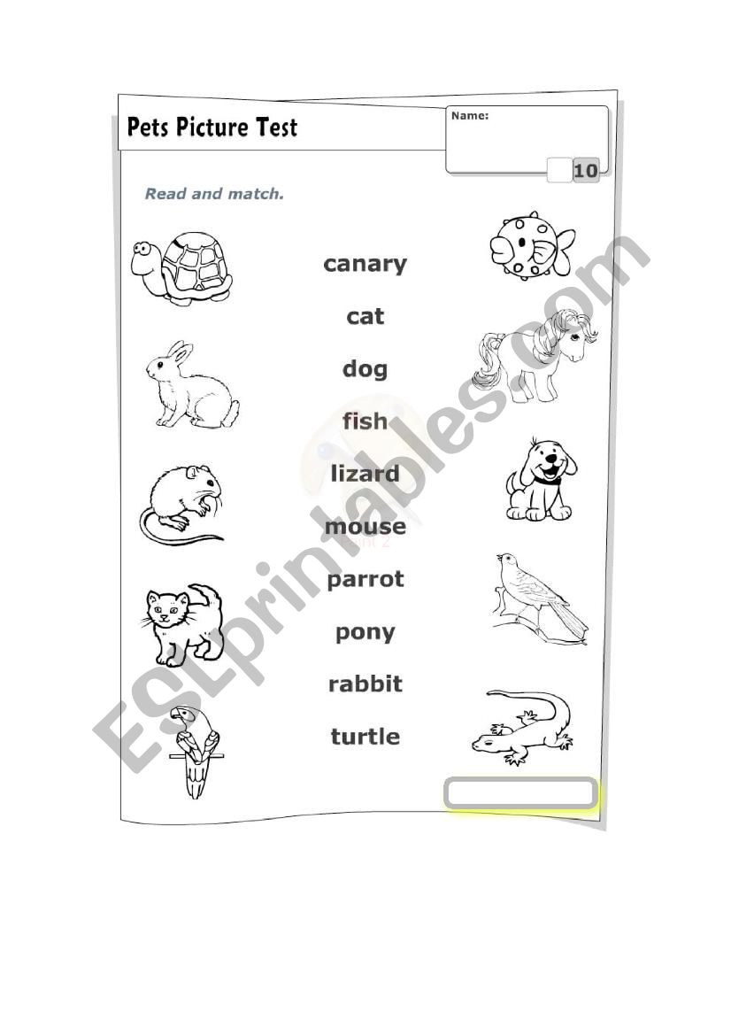 Pets-Match worksheet