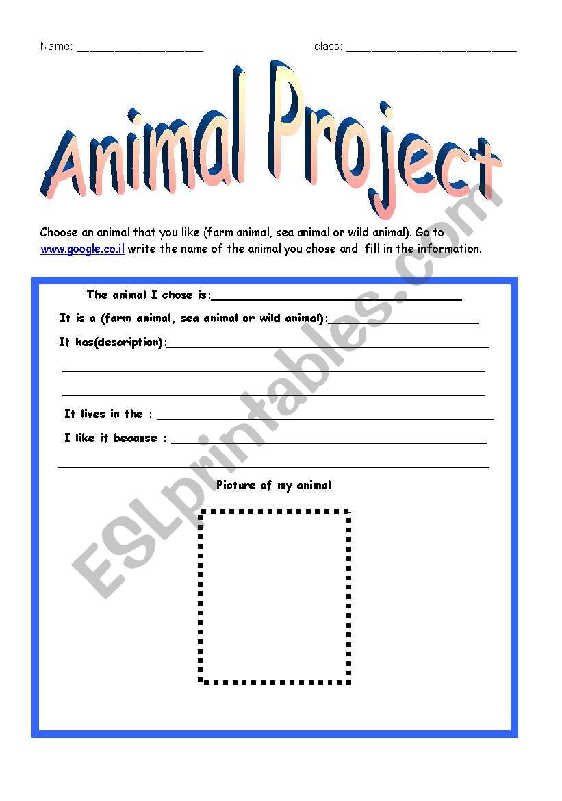 animal project worksheet
