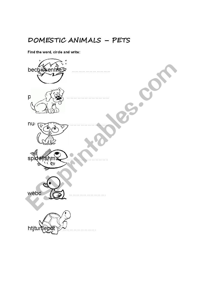 Domestic animals- Pets worksheet