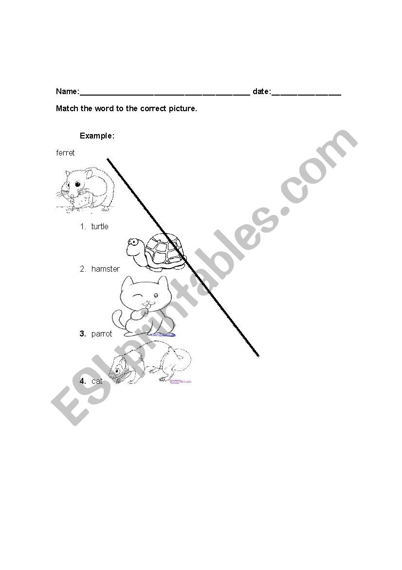 Pets worksheet