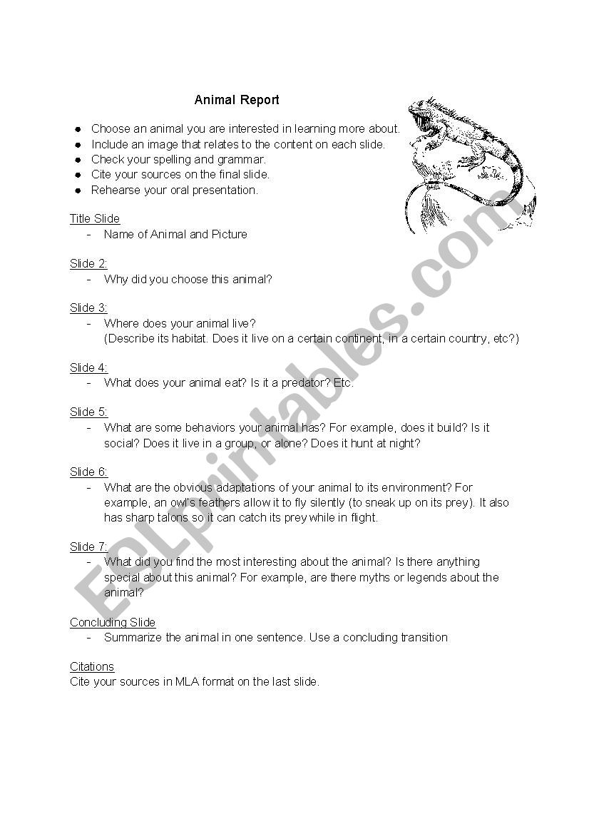 Oral Animal Report  worksheet