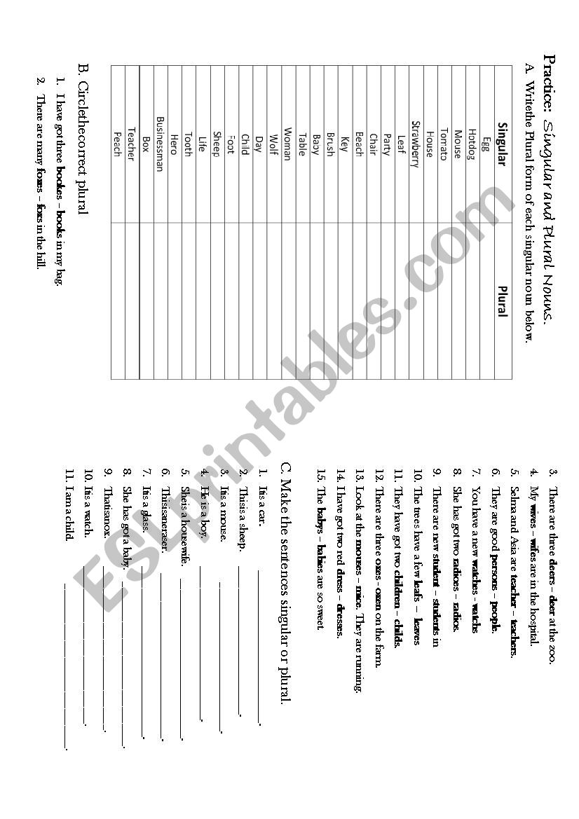  Singular and Plural Nouns. worksheet