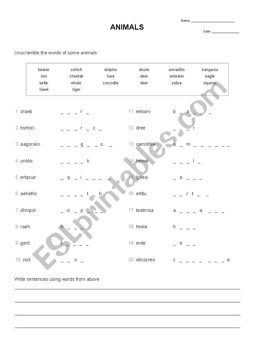 Animals worksheet