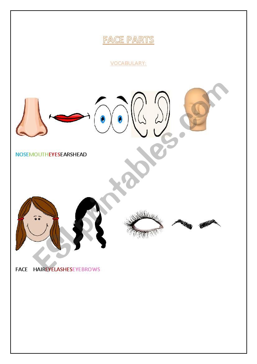 Face parts worksheet