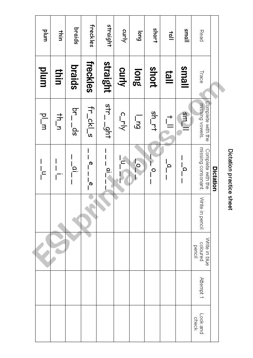Dictation practice sheet worksheet