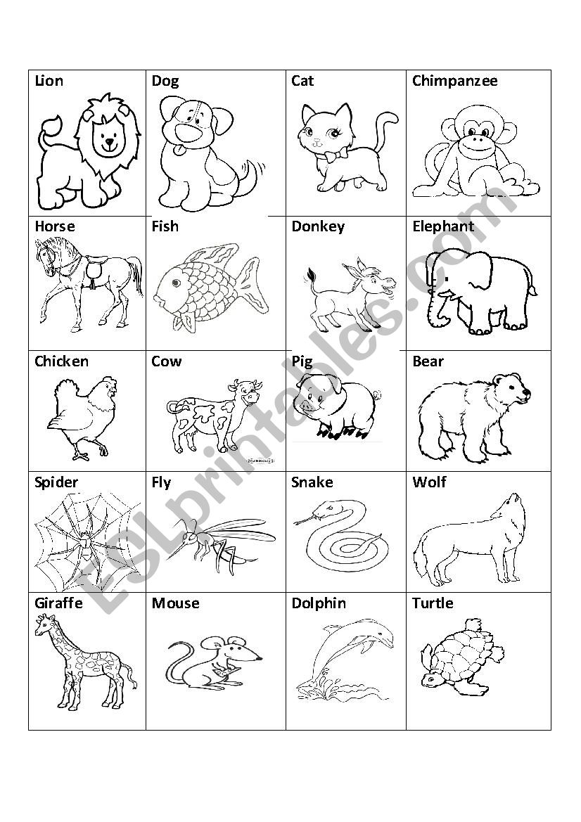 animals in english coloring esl worksheet by danto314